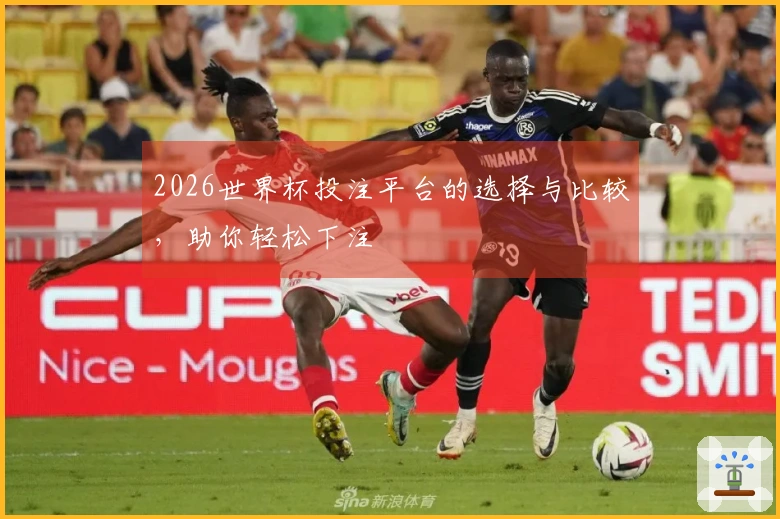 2026世界杯投注平台的选择与比较，助你轻松下注