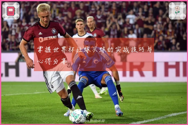 掌握世界杯让球买球的实战技巧与心得分享