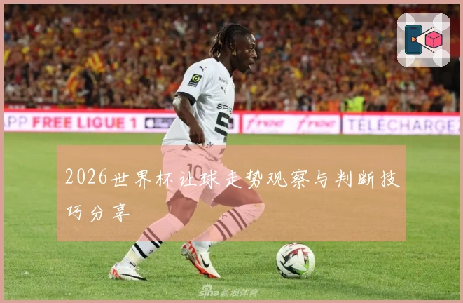 2026世界杯让球走势观察与判断技巧分享