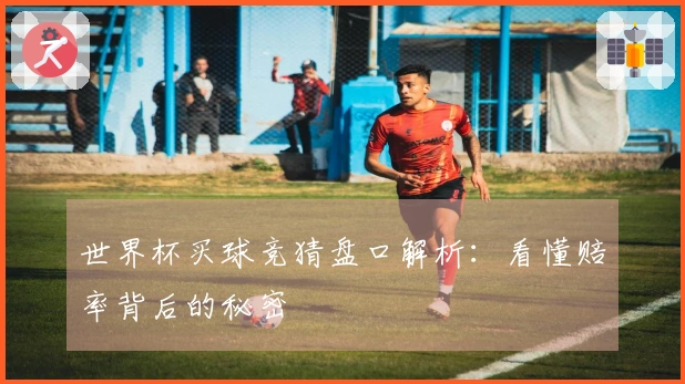 世界杯买球竞猜盘口解析：看懂赔率背后的秘密