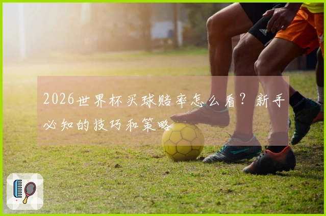 2026世界杯买球赔率怎么看？新手必知的技巧和策略