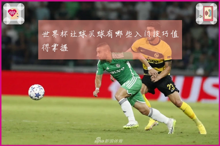 世界杯让球买球有哪些入门技巧值得掌握