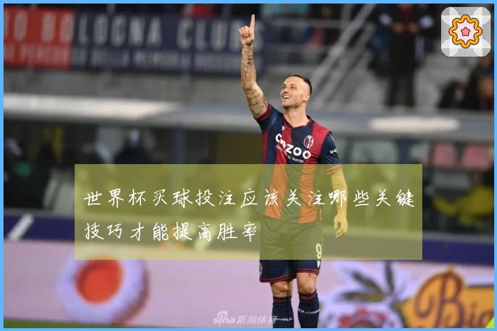 世界杯买球投注应该关注哪些关键技巧才能提高胜率
