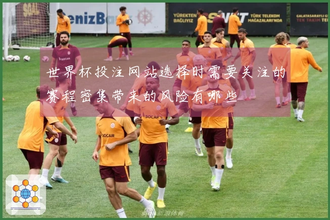 世界杯投注网站选择时需要关注的赛程密集带来的风险有哪些