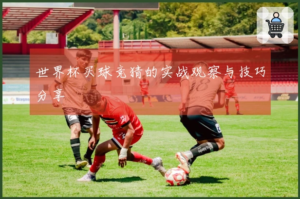 世界杯买球竞猜的实战观察与技巧分享