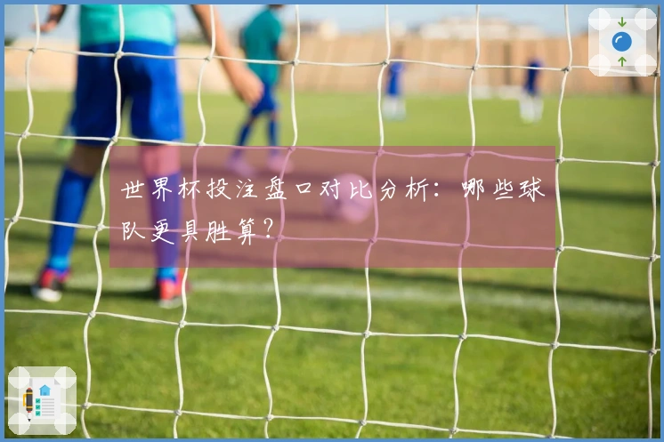 世界杯投注盘口对比分析：哪些球队更具胜算？