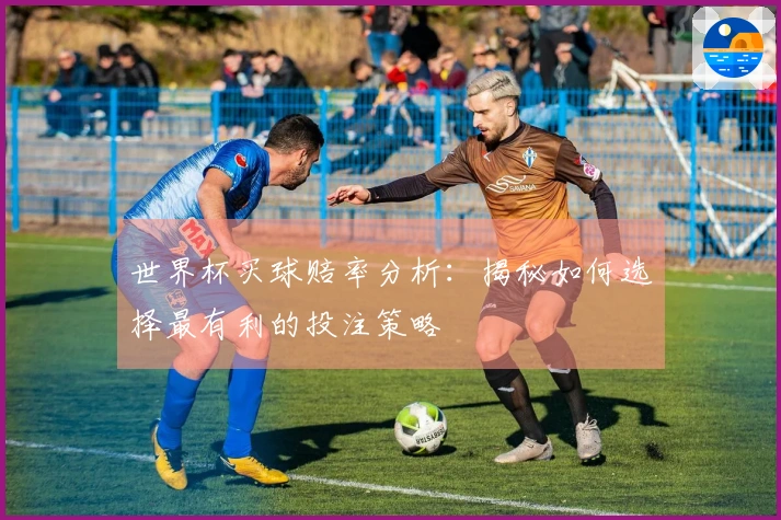 世界杯买球赔率分析：揭秘如何选择最有利的投注策略