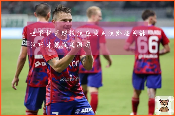 世界杯买球投注应该关注哪些关键技巧才能提高胜率