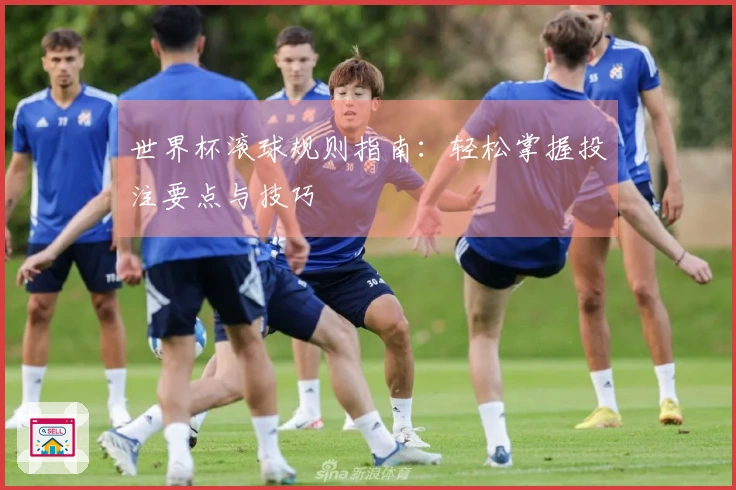 世界杯滚球规则指南：轻松掌握投注要点与技巧