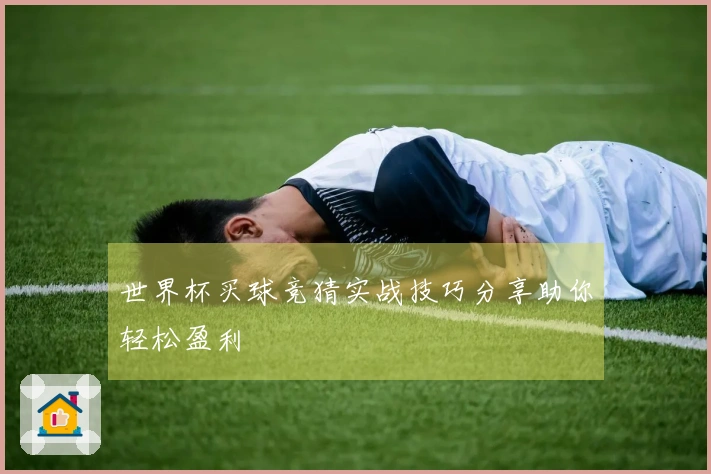 世界杯买球竞猜实战技巧分享助你轻松盈利