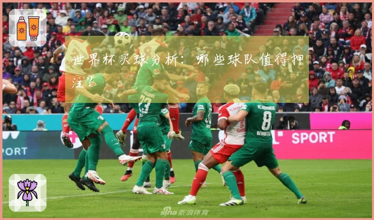 世界杯买球分析：哪些球队值得押注？