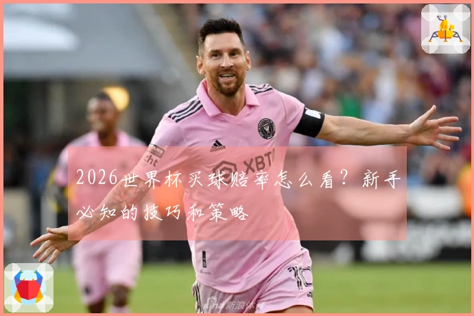 2026世界杯买球赔率怎么看？新手必知的技巧和策略