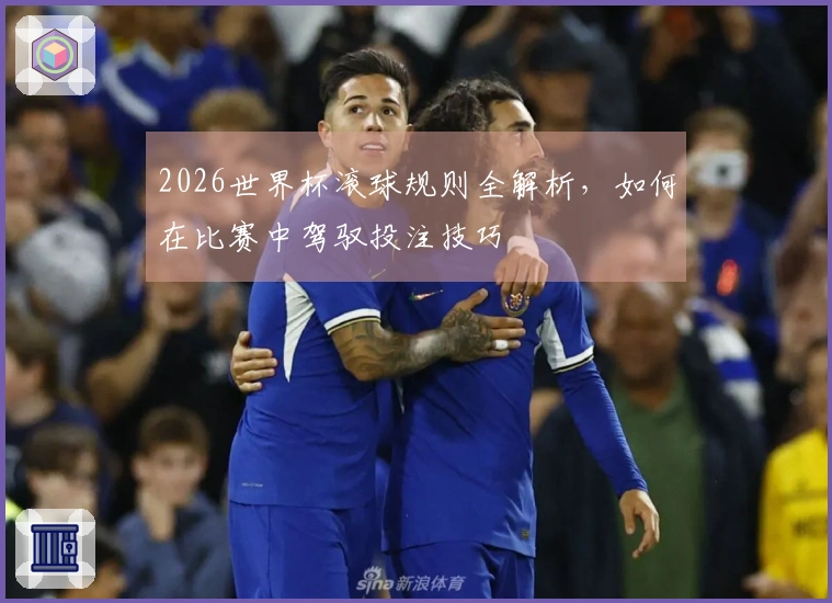 2026世界杯滚球规则全解析，如何在比赛中驾驭投注技巧