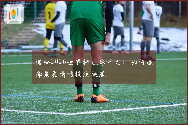 揭秘2026世界杯让球平台：如何选择最靠谱的投注渠道