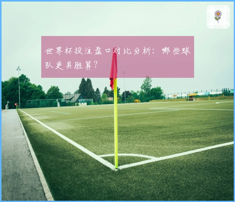 世界杯投注盘口对比分析：哪些球队更具胜算？
