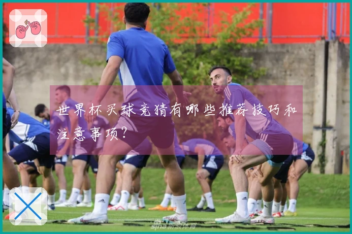世界杯买球竞猜有哪些推荐技巧和注意事项？