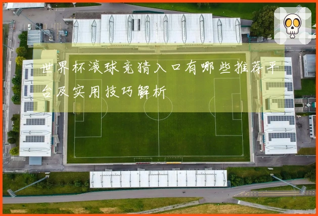 世界杯滚球竞猜入口有哪些推荐平台及实用技巧解析