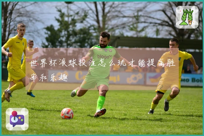 世界杯滚球投注怎么玩才能提高胜率和乐趣