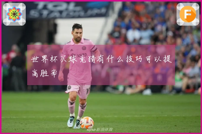 世界杯买球竞猜有什么技巧可以提高胜率